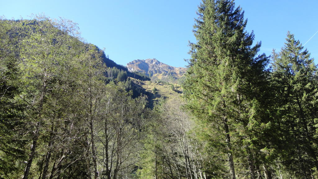 Haus Schraberger Διαμέρισμα Schladming Εξωτερικό φωτογραφία